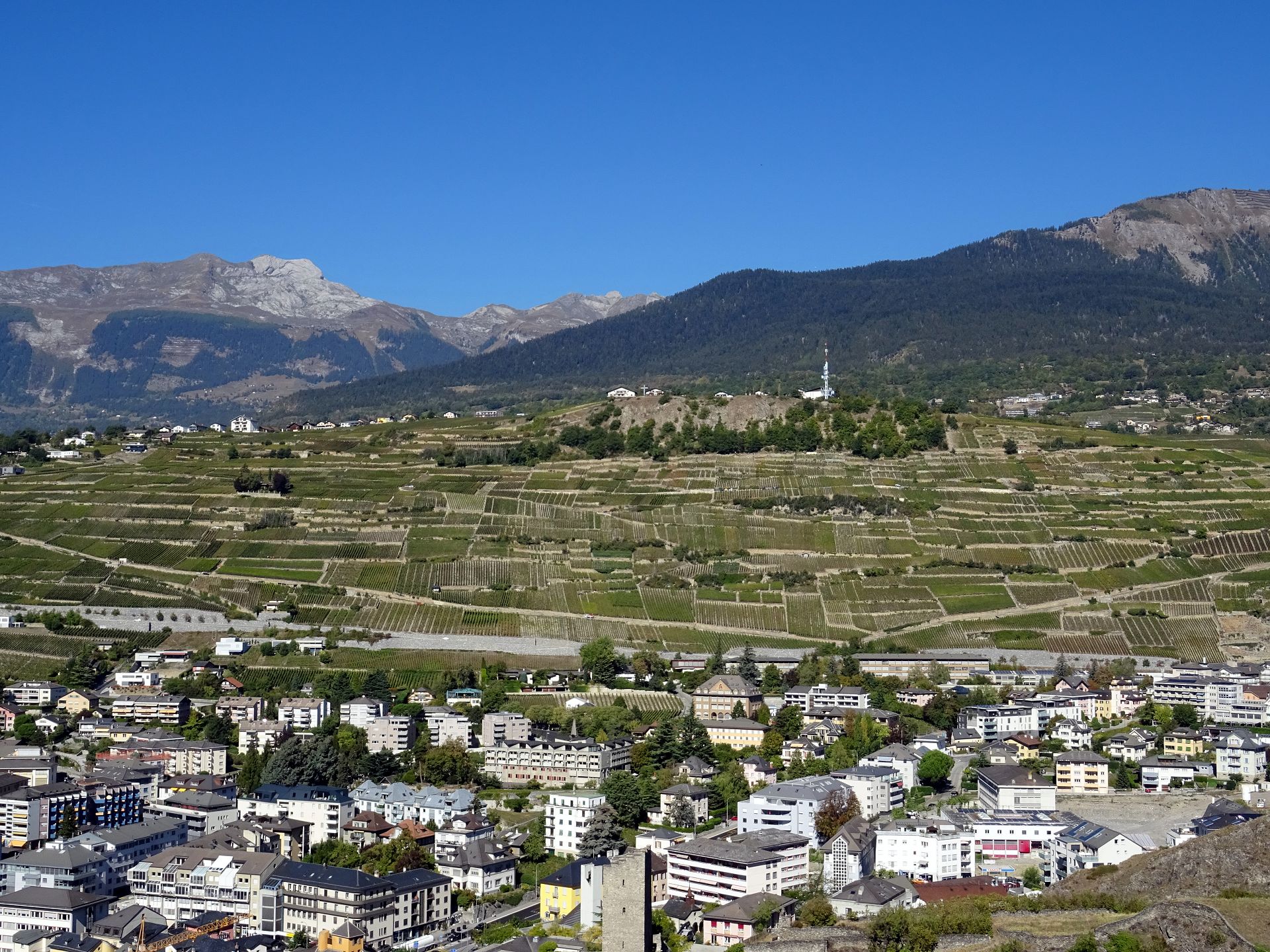 Sion